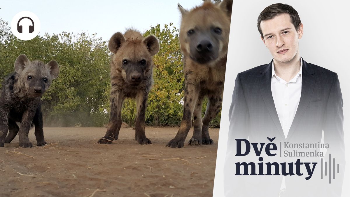 Glosa: Bajka o hyenách a broukovi